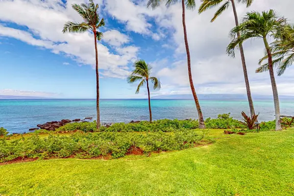 Grounds stretch toward the ocean with palms and lawns