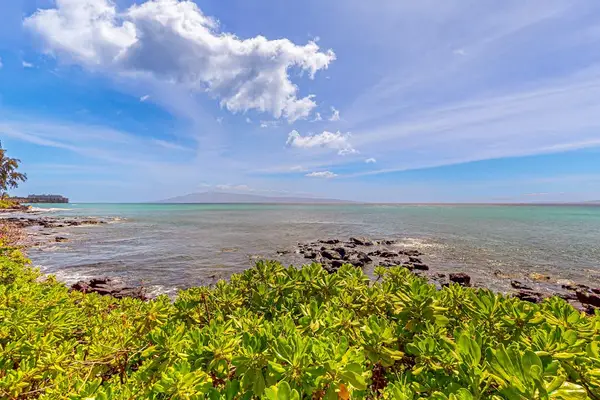 Vast Blue Horizon Escape