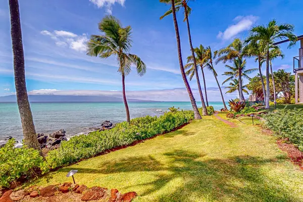 Palm Lined Path To Paradise