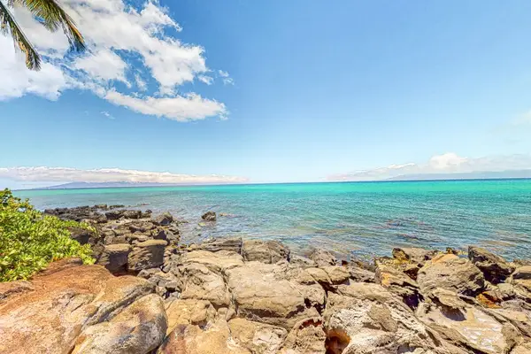 Tropical Cove With Lava Rock Beauty
