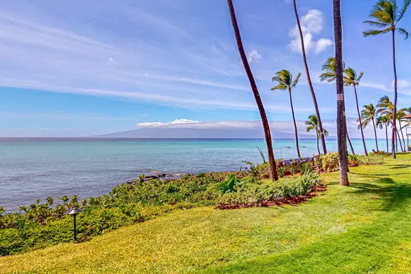 Peaceful Oceanfront Lawn Views