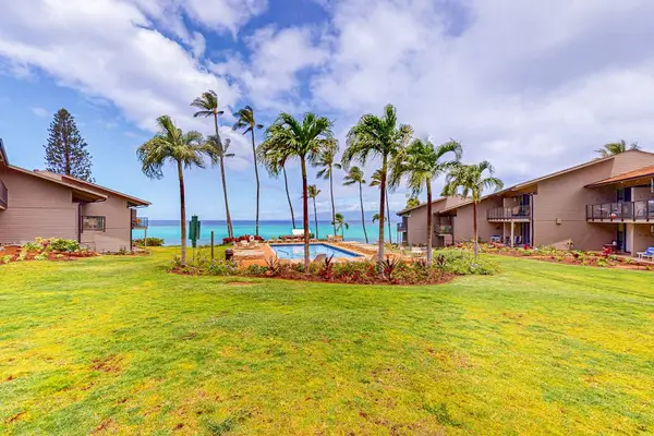 Expansive Lawn Near The Ocean