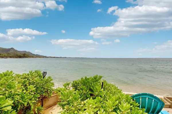 Peaceful beach views from the backyard