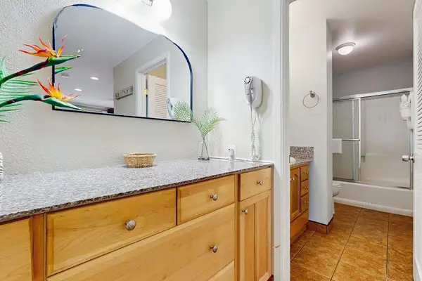 Master bathroom with tub/shower combo.