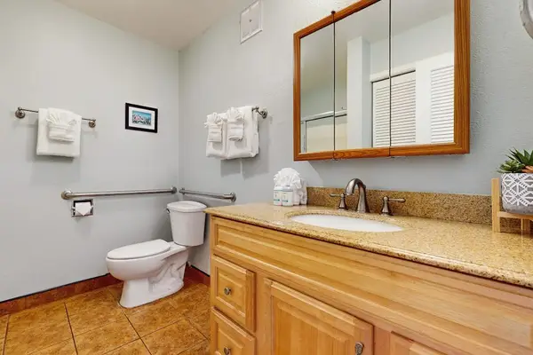 Guest bathroom with walk-in shower.