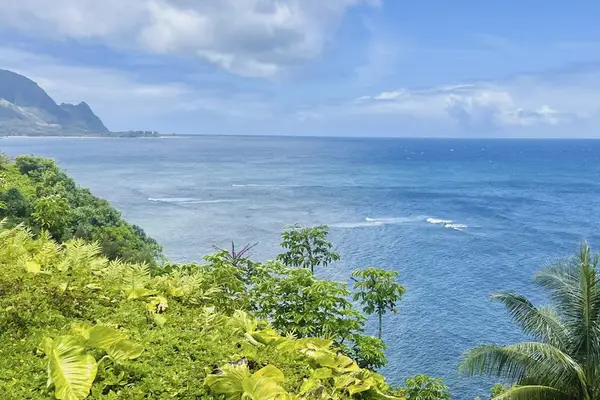 Island homes overlook turquoise water, forested hills, and coastal roads