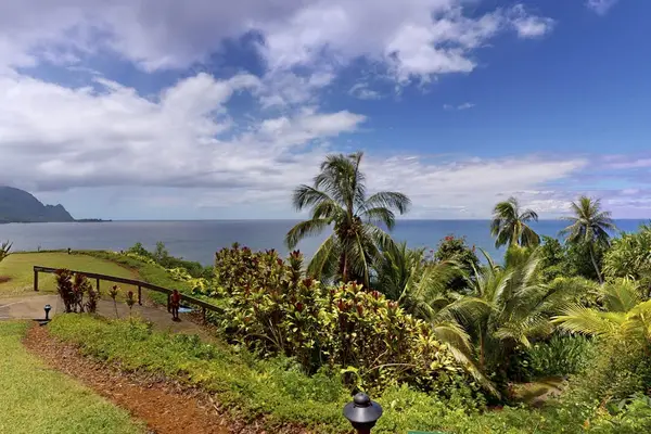 Sunset aerial view illuminates the residence, coastline, and surrounding greenery