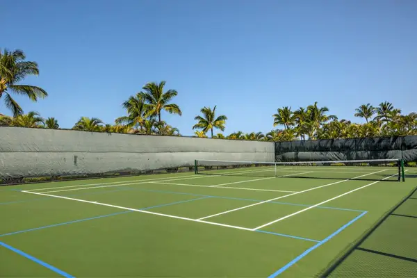Outdoor Tennis & Pickleball Courts Surrounded by Palm Trees