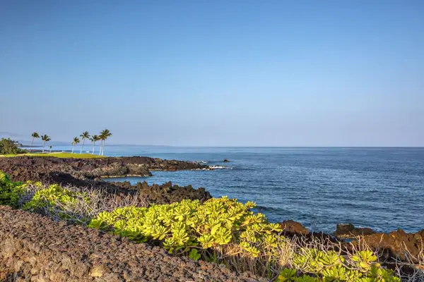 Rocky Ocean Coastline View directly adjacent to Property Grounds