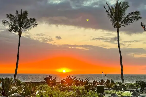 Golden Sunset Horizon View Frame by Palm Trees & Resort Grounds
