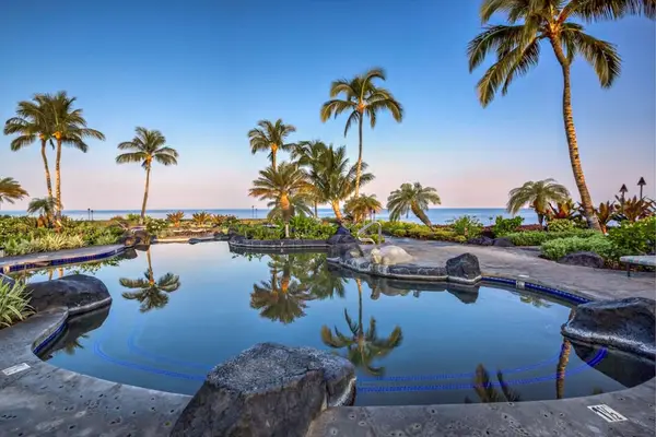 Oceanfront Resort Pool Surrounded by Lush Tropical Landscaping