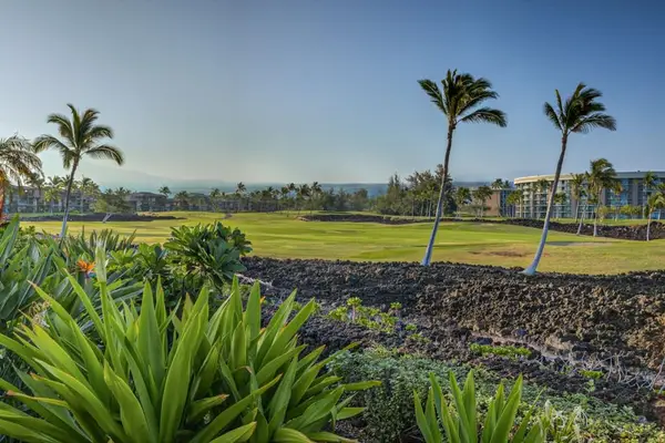 Scenic View of Nearby Golf Course Grounds & Lava Rock Details