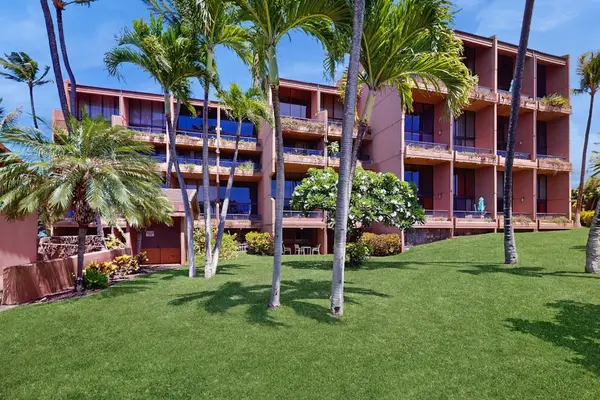 Lush Resort Grounds Surrounded By Palms