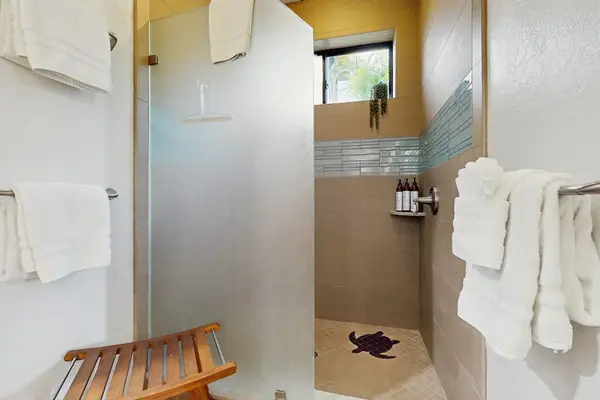 Walk-In Shower With Modern Finishes