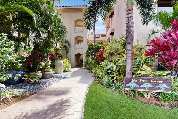 Lush Tropical Garden Path