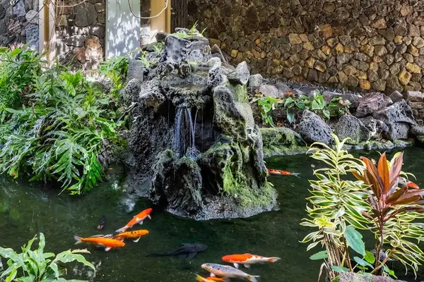 Traditional stone koi pond found inside Royal Kahili