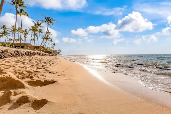 Morning Walks Along The Shoreline