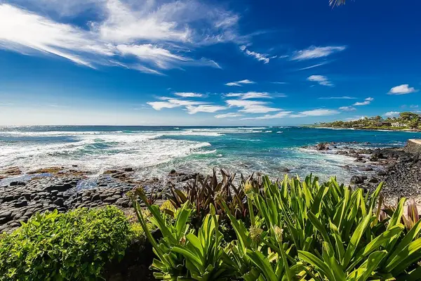 Panoramic Coastline And Ocean Views