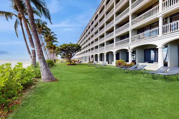 Lush Oceanfront Lawn For Peaceful Strolls
