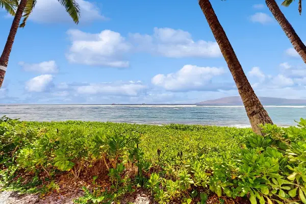 Oceanfront Lawn With Endless Views