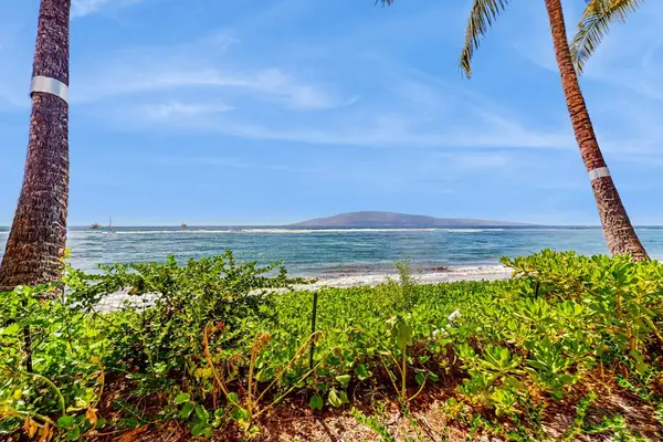 Lahaina Shores 706