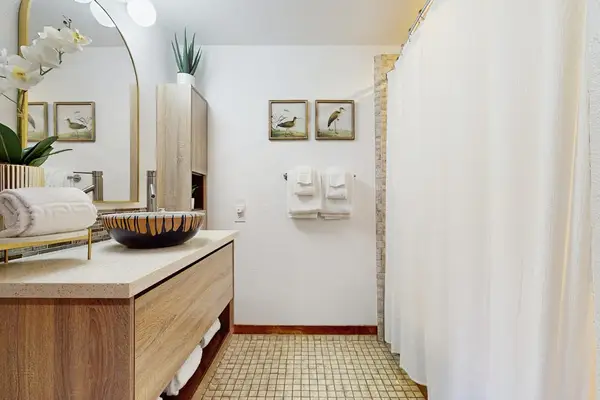 Fresh Full Bathroom With Modern Vanity
