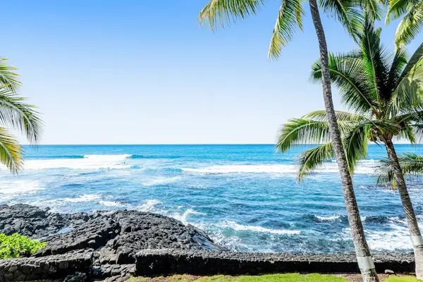 Pristine Ocean Views And Swaying Palms Just Steps Away