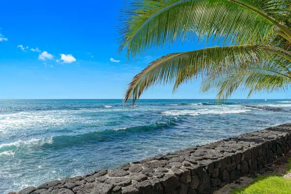 Watch The Waves Crash On The Rocky Shoreline Below