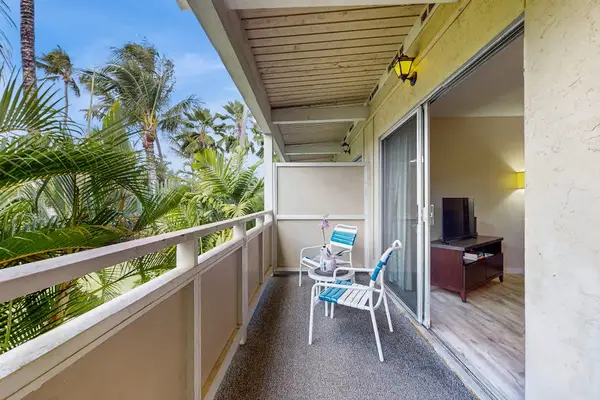 Sit on the lanai and watch the palm trees swaying in the breeze.