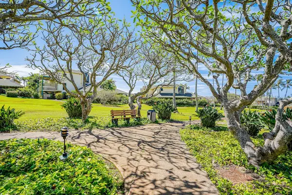 Peaceful garden walkway beneath tropical trees