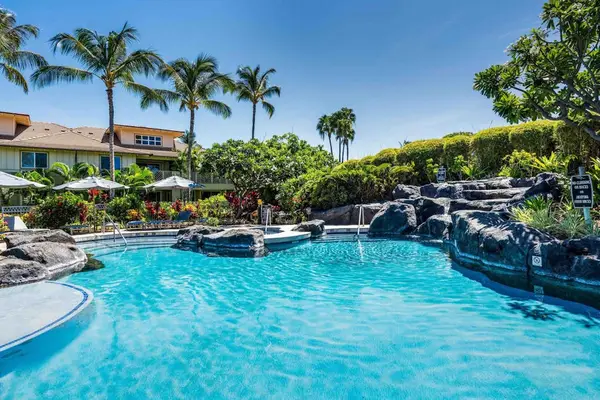 Lagoon-style resort pool surrounded by palms