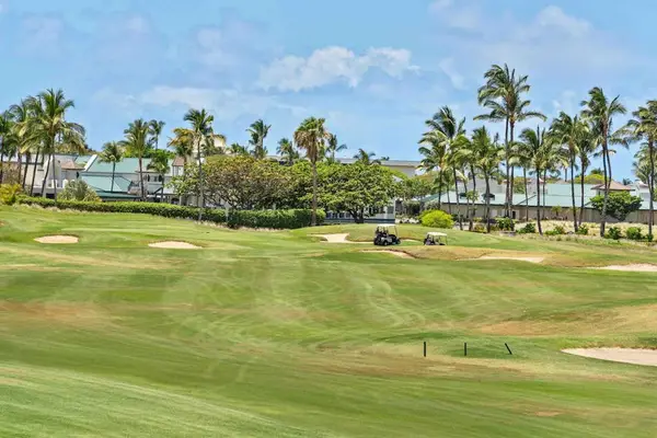 Beautiful golf course surrounded by palm trees