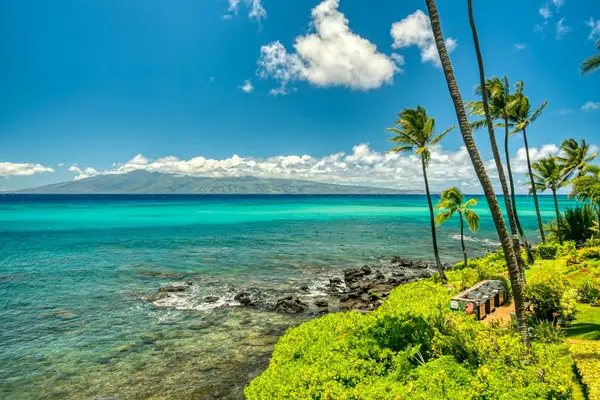 Crystal Clear Shoreline And Island Views
