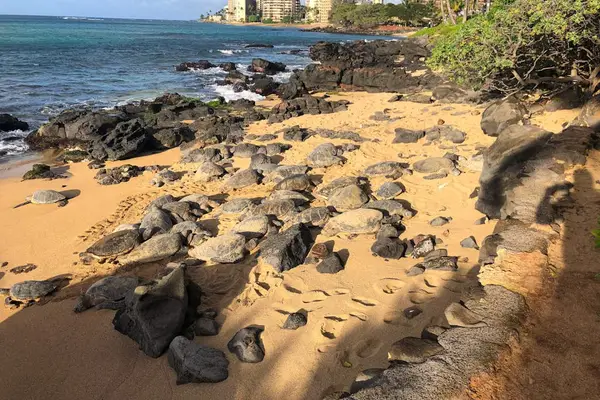 Secluded Beach With Lava Rock Coastline