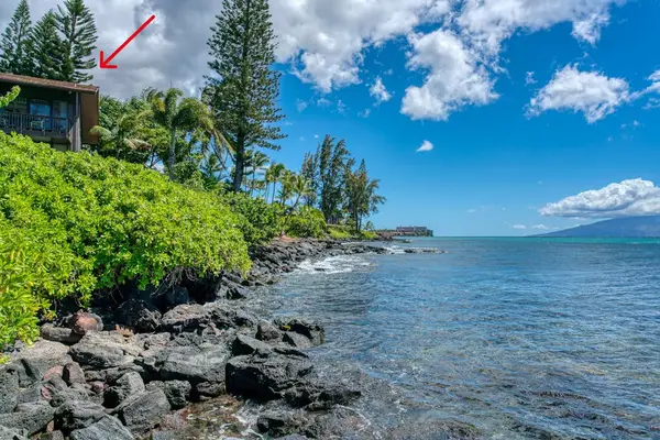 Dramatic Lava Shoreline Views