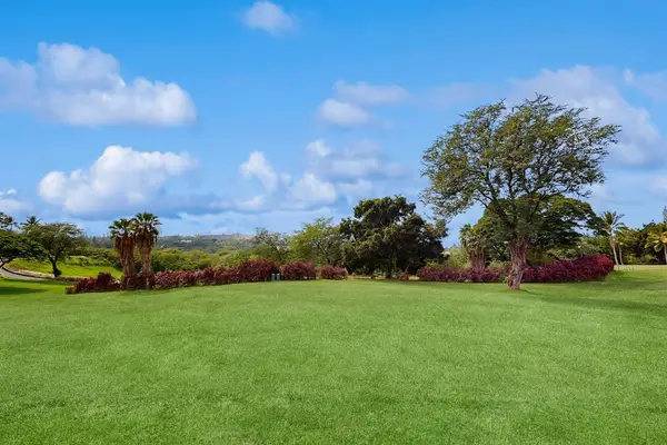 ​An expansive, beautifully manicured green lawn perfect for relaxing outdoors or enjoying the sunshine