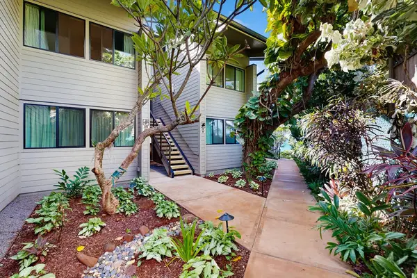 Tropical Courtyard Entrance With Lush Landscaping