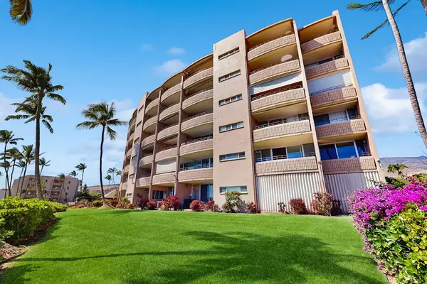 Resort Grounds Surrounded By Palms