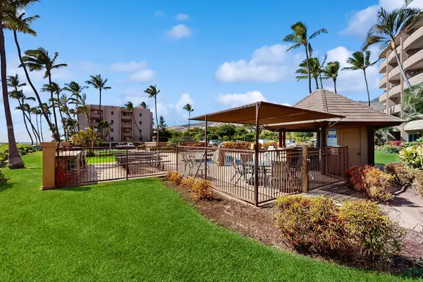 Grill And Gather Under The Palms