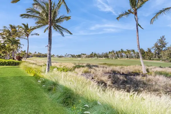 Peaceful oceanfront lawn with swaying palms