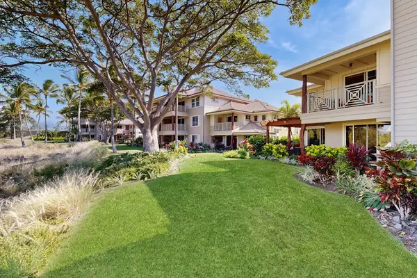 Lush tropical lawn surrounded by greenery