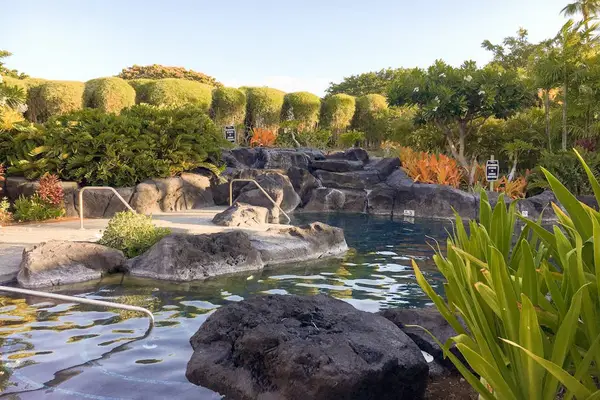 Tropical watExplore the island's rolling green landscapeserfall pool with lush surroundings