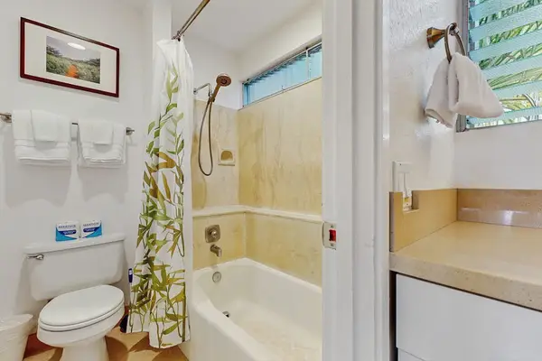Master bathroom with tub/shower combo.