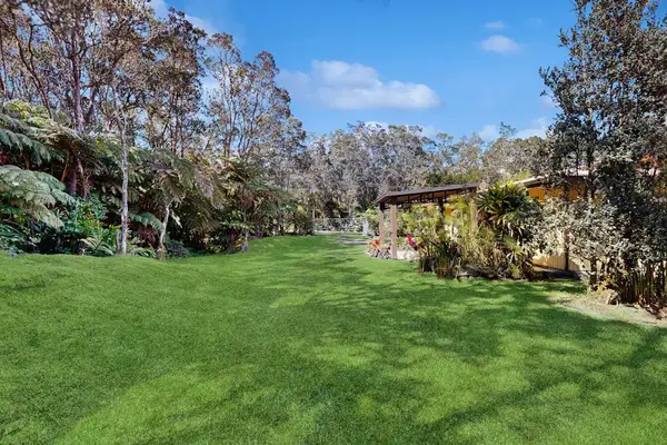 Expansive Green Grounds surrounded by Tropical Ferns