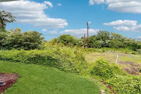 Peaceful Backyard Surrounded By Greenery