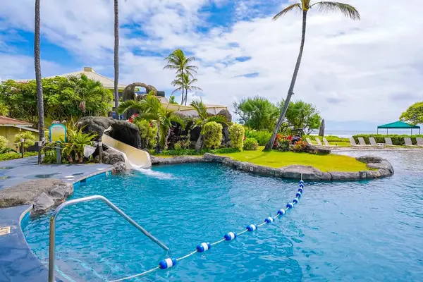 Lagoon Style Pool Paradise