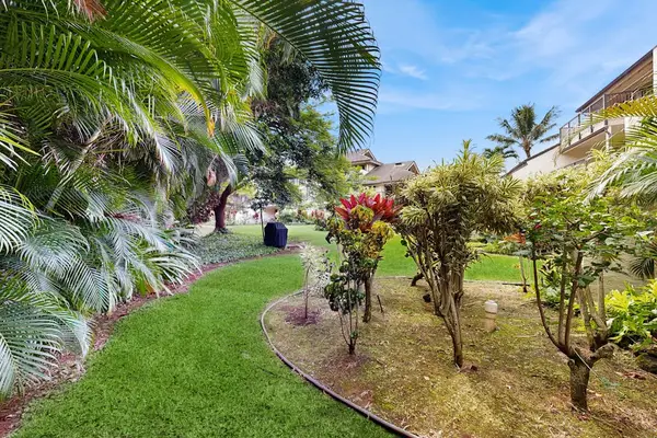 Lush Tropical Garden Pathway