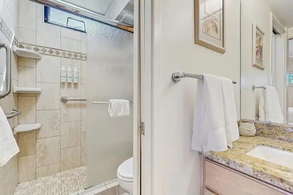 Master bathroom with walk-in shower.