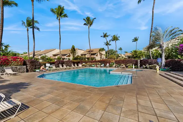 Resort pool surrounded by tropical palms