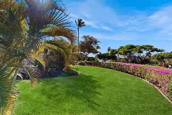 Expansive tropical lawn to enjoy